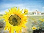 Summer