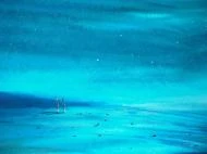 Starlight Dreaming