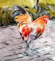 The Chicken