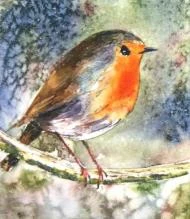 Winter Robin 2012