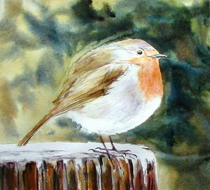 the winter robin